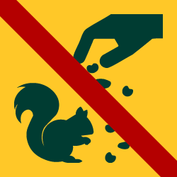 Tiere füttern verboten