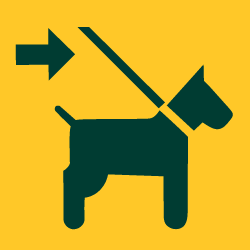 Symbol Leinenzwang für Hunde