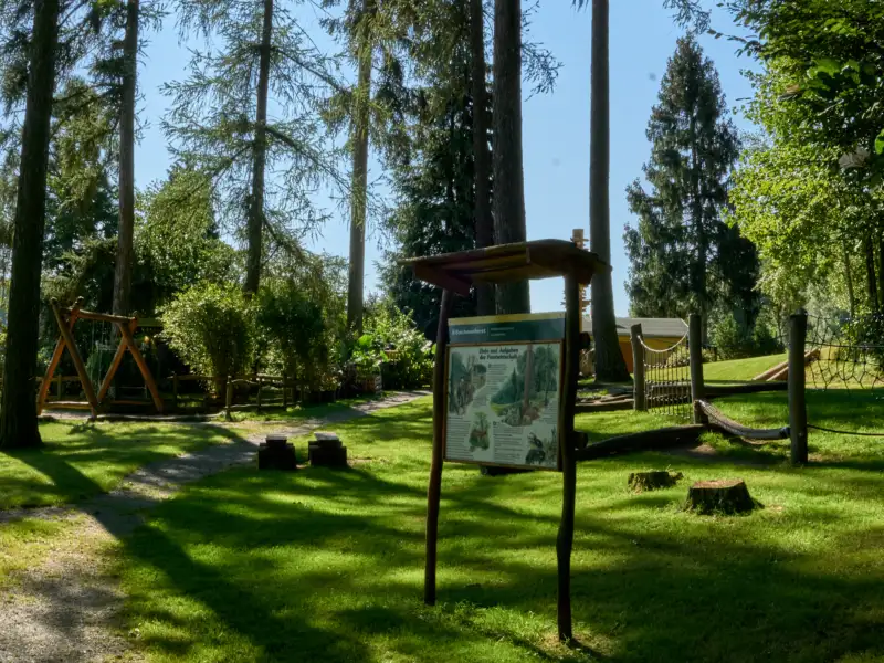 Wooden house with playground in a wooded park.