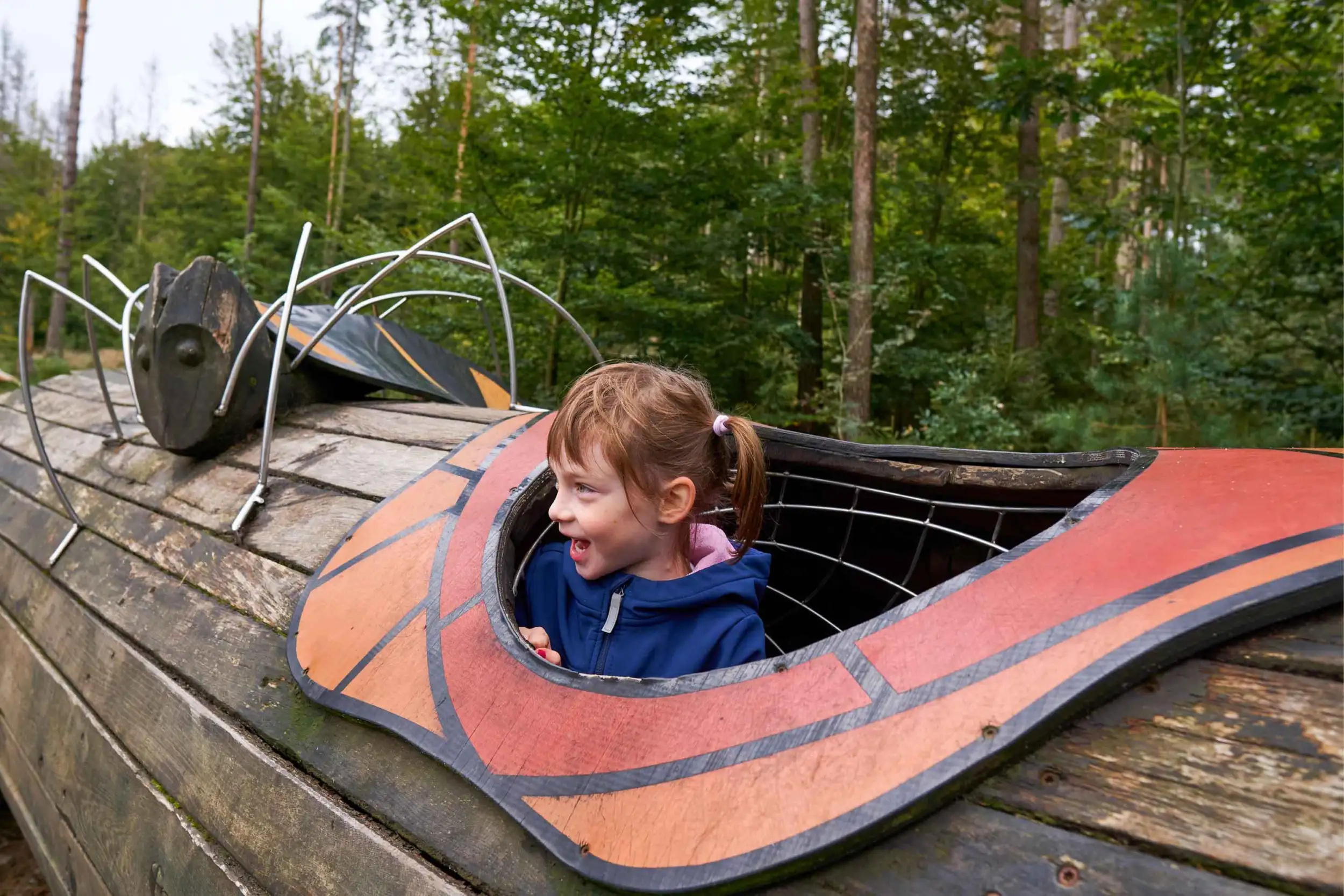 A laughing child in a blue jacket looks out of a wooden play structure designed like an insect in a forest.