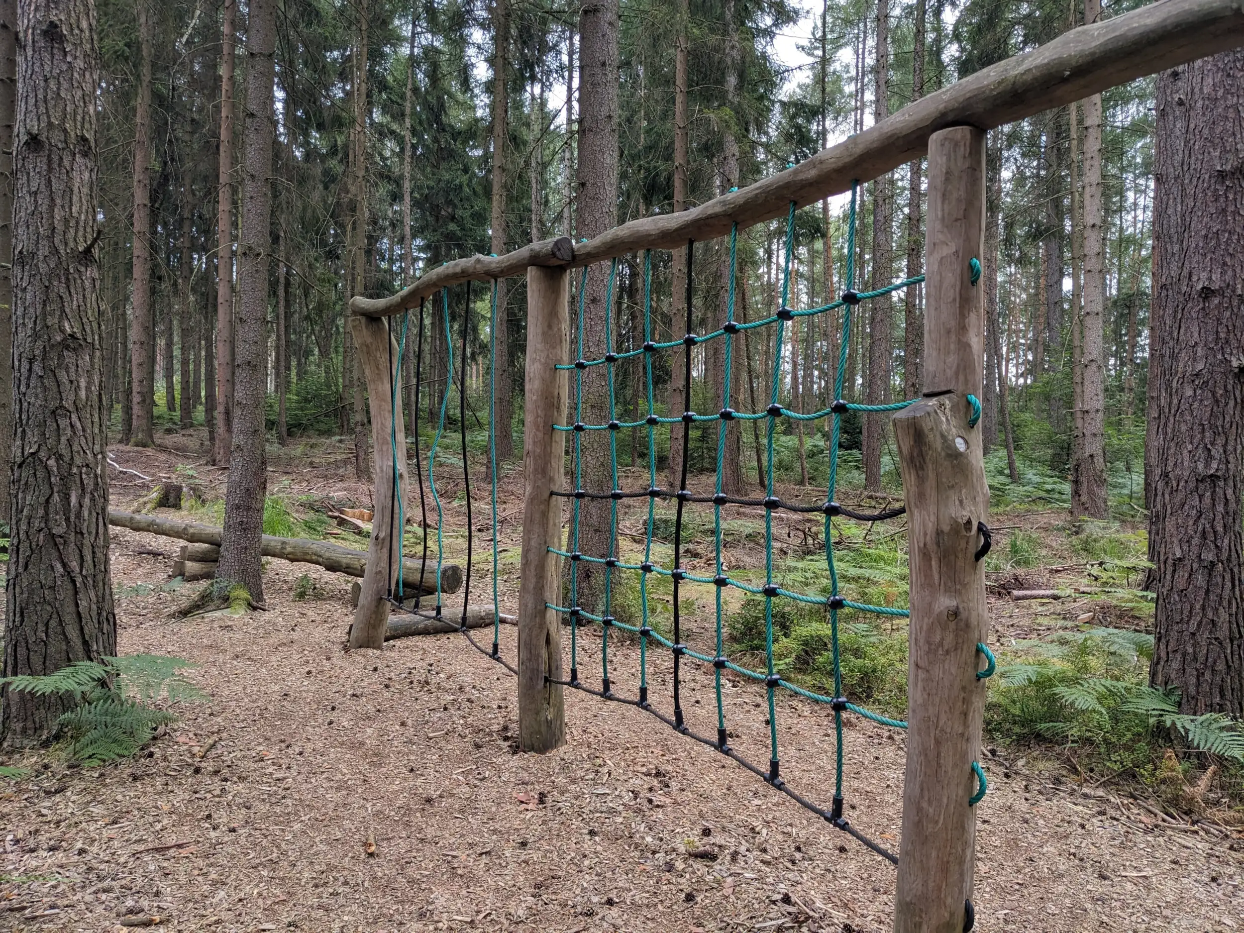 Eine Kletterstation auf dem Walderlebnispfad Reinhardtsdorf besteht aus Baumstämmen, zwischen denen Kletterseile zu einem Netz gespannt wurden.