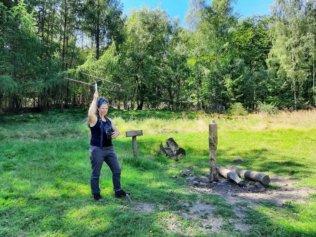 57 24 REDEMA Projekt 5 Grenzübergreifende Forschung zu Rothirschen in der Nationalparkregion