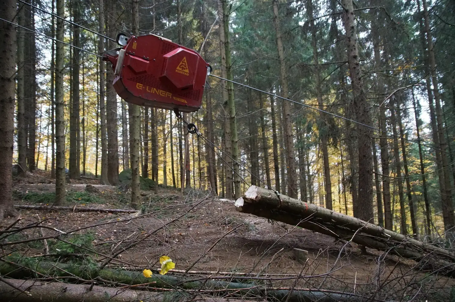 Die Laufkatze des Seilkrans zieht die am Seil hängenden Stämme am Hang nach oben, so dass sie den Waldboden gar nicht oder kaum berühren. Hier an der Hangkante hängt sie tiefer am straff gespannten Seil und kommt so mit in den Bildausschnitt.
