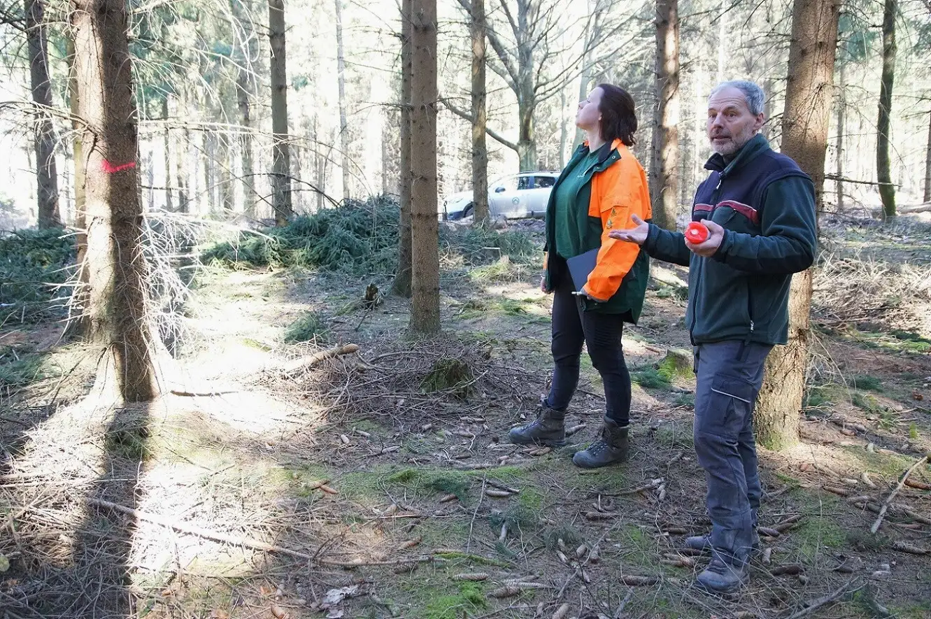 Integrative naturgemäße Waldbewirtschaftung 2 Auszeichnung zu fällender Bäume