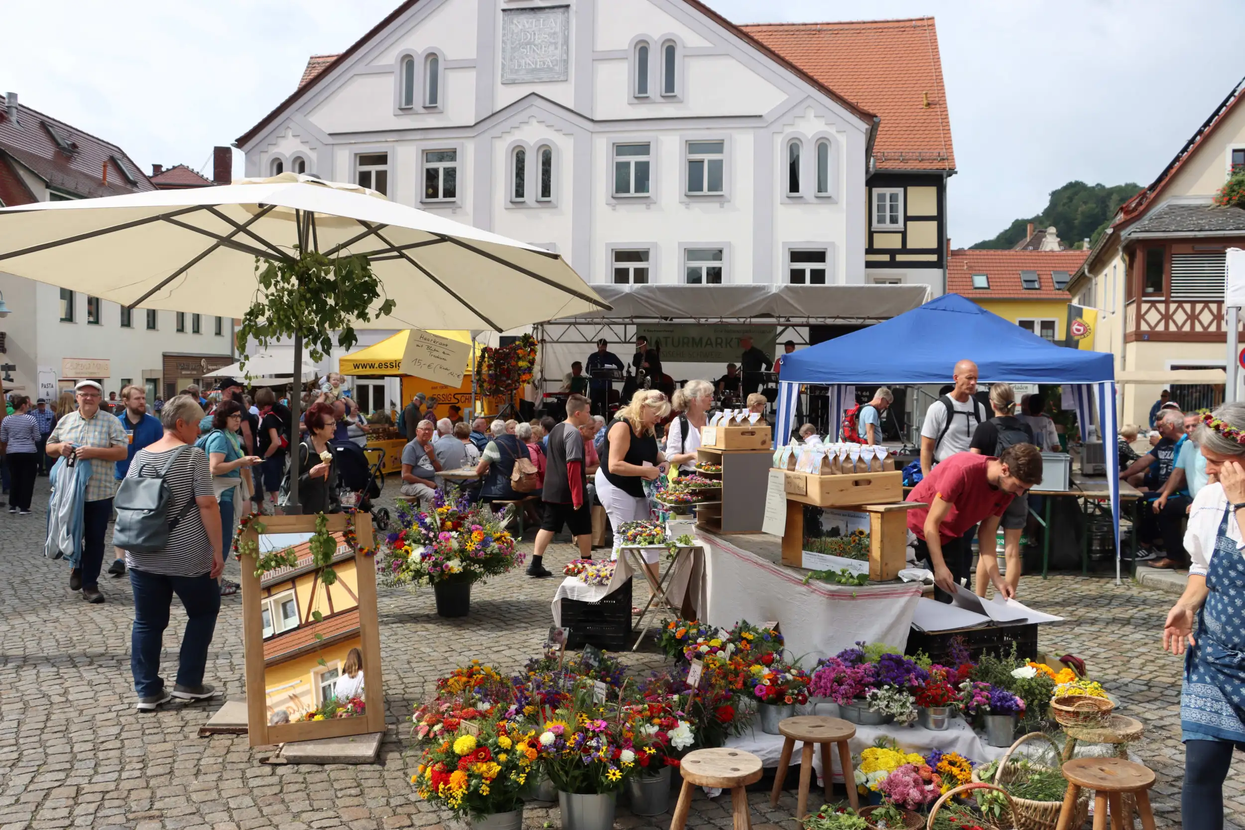 Wehlen naturmarkt