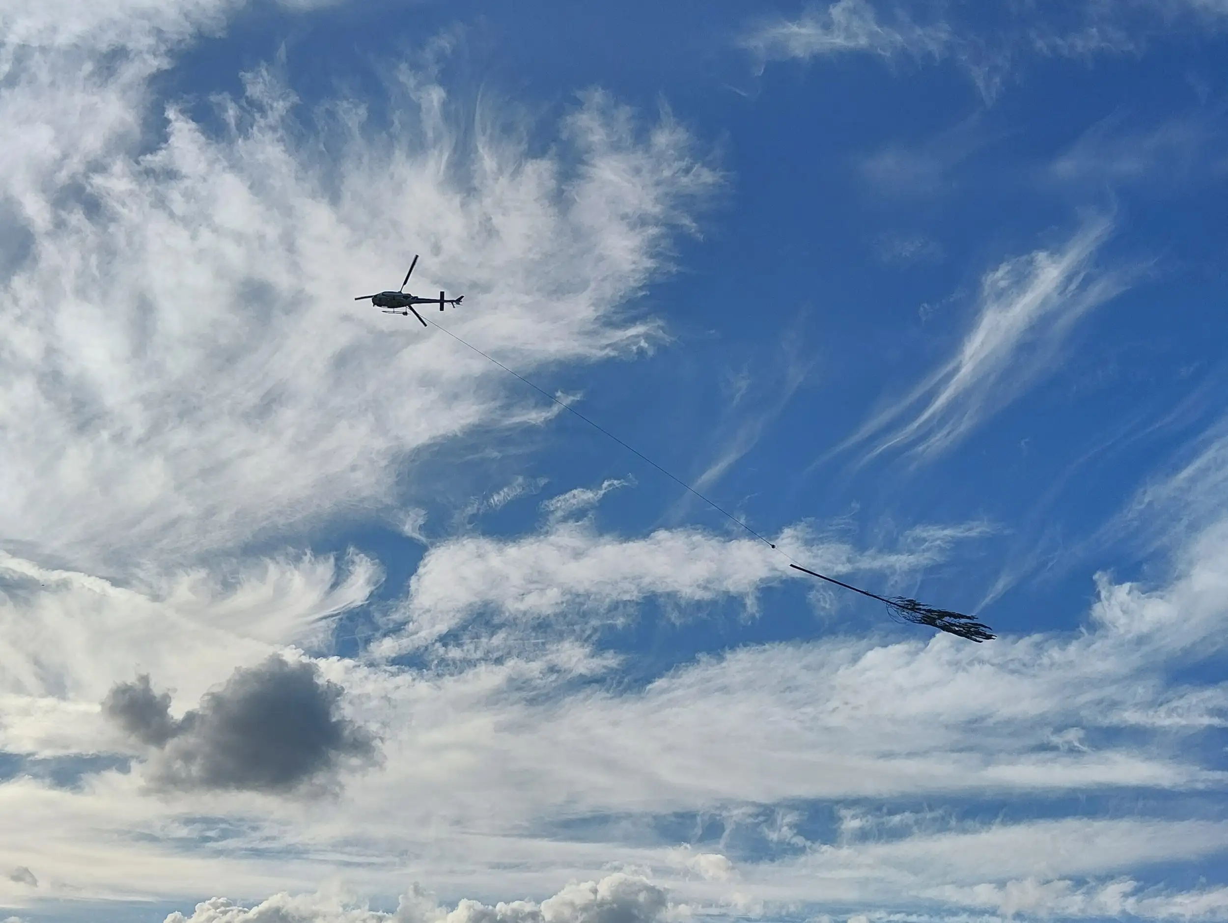 Transport eines Baumes aus dem Schadbereich mit Helikopter.