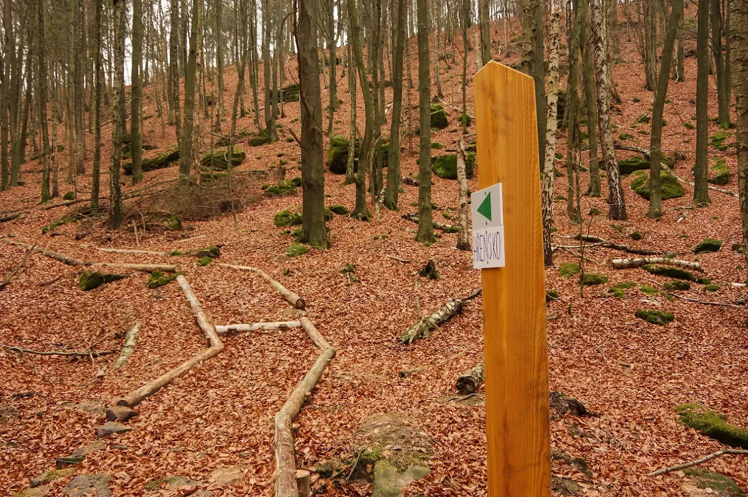 Unmittelbar vom Grenzweg zweigt die neue Route ab, führt hinauf zum Langen Horn (Dlouhý roh) auf böhmischer Seite und dann weiter ins Tal der Dürren Biele (Suchá Bělá).