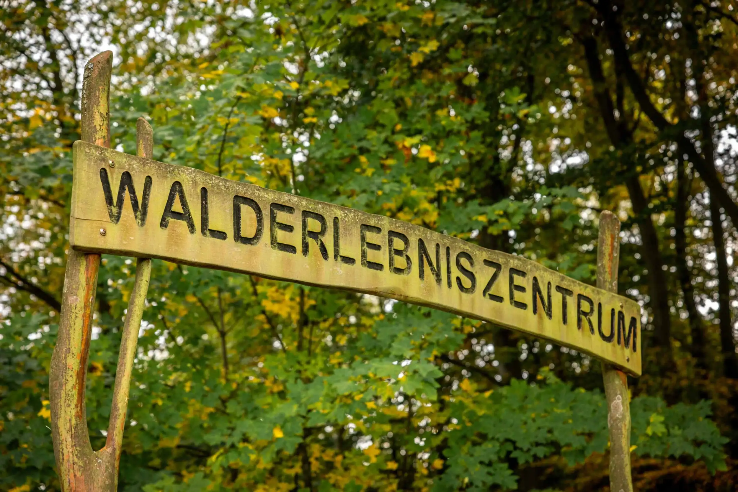 Leupoldishain forest experience centre