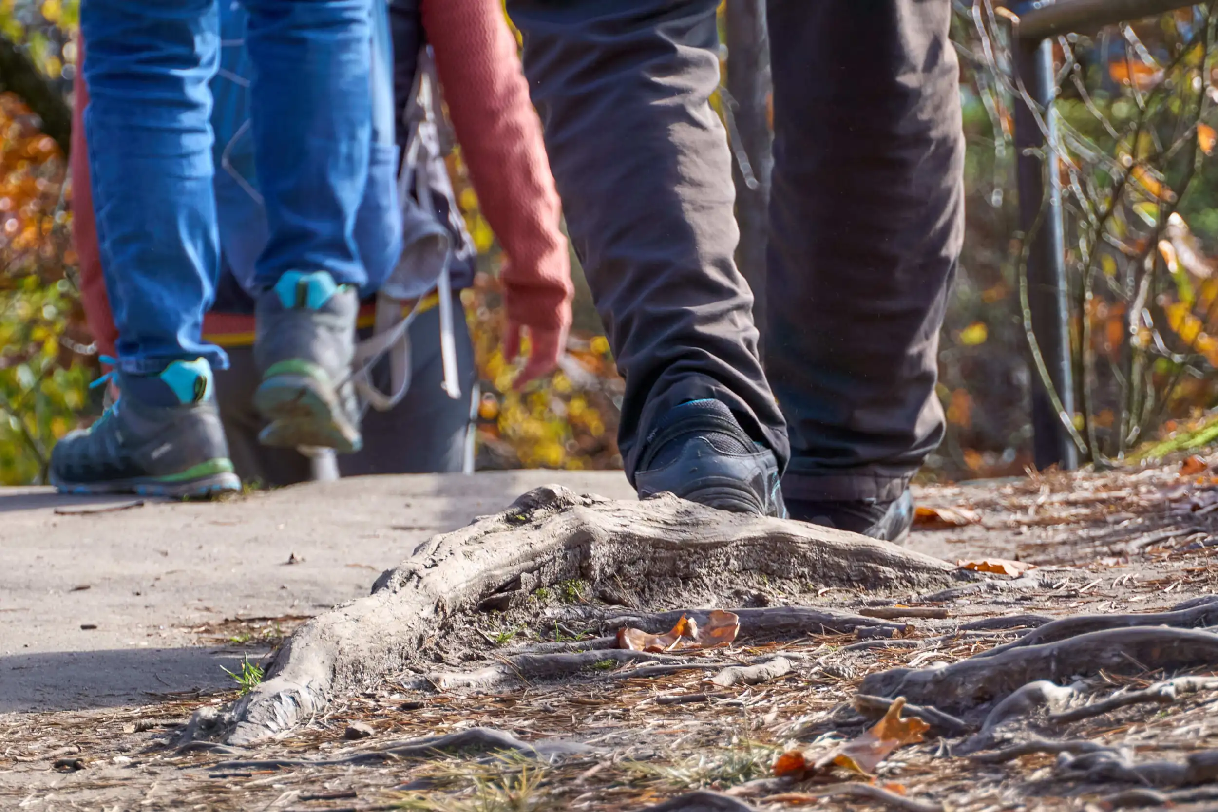 Wandern im herbst