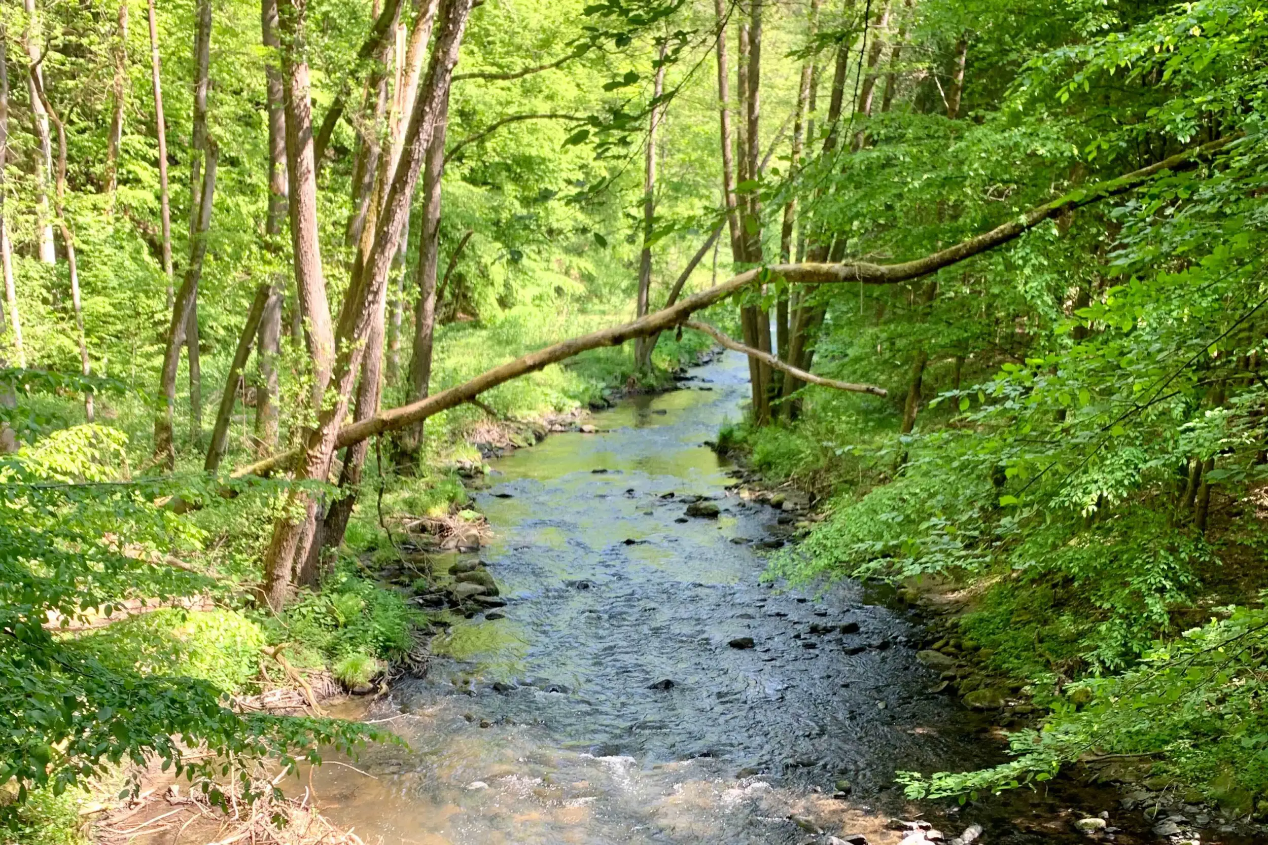 Sebnitztal