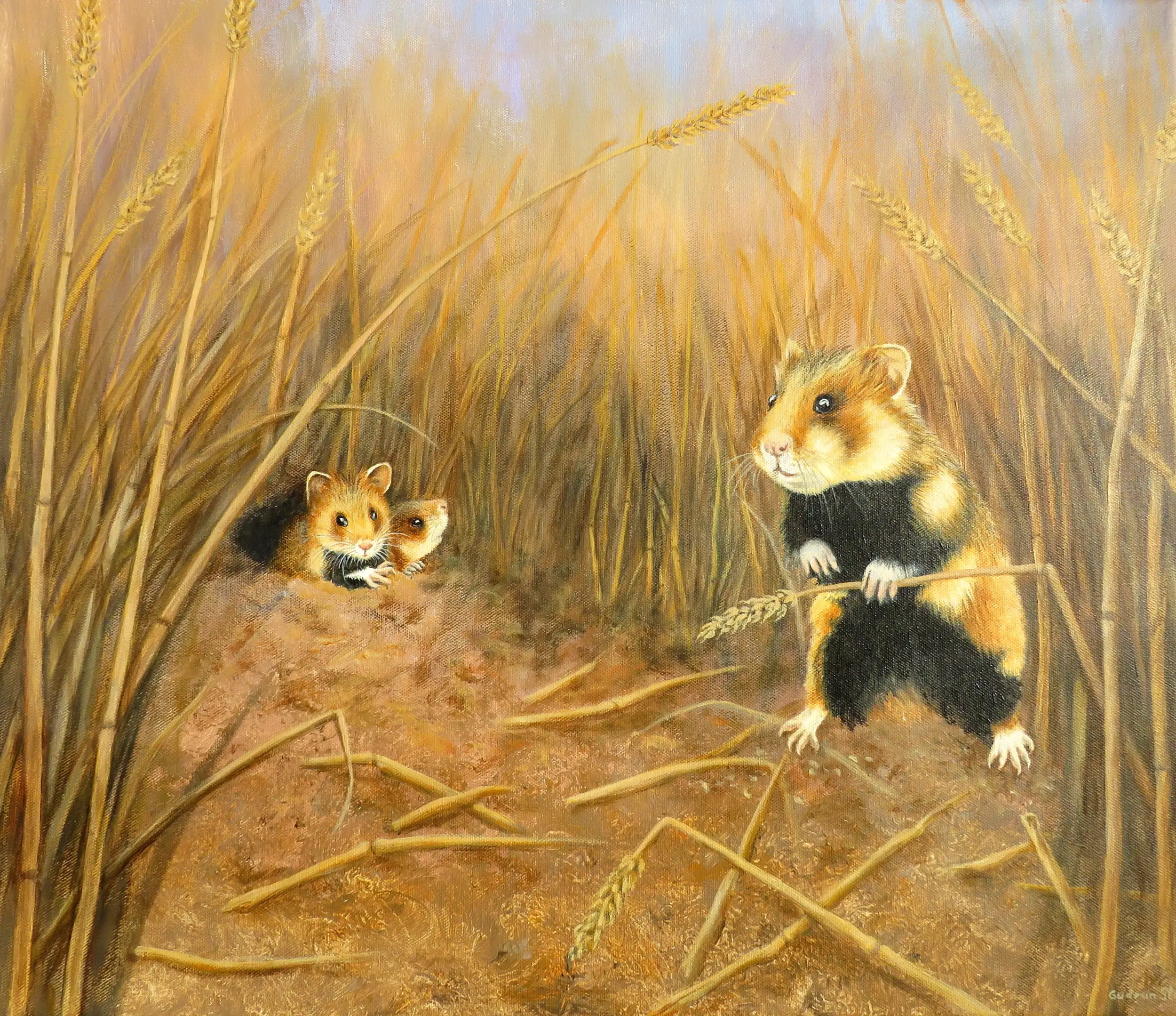 Hamster am bau jpg