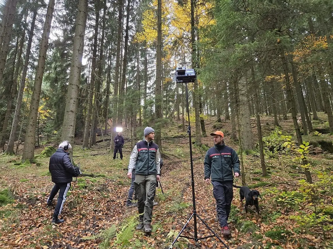 Filmdreh Förster und Ranger für die Nationalparkregion Sächsische Schweiz im herbstlichen Wald