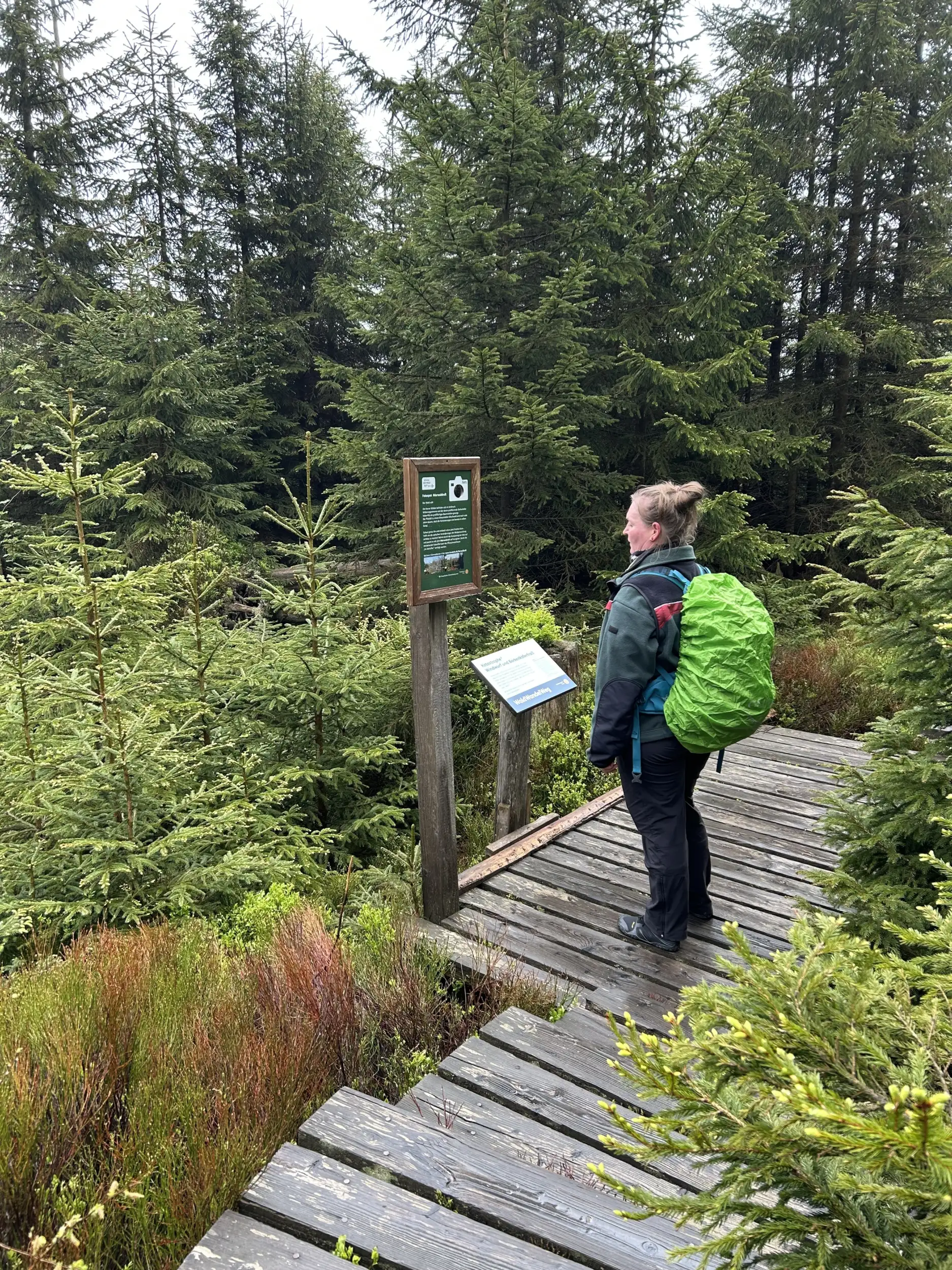 Exkursion auf den Waldwandelpfad im Nationalpark Harz