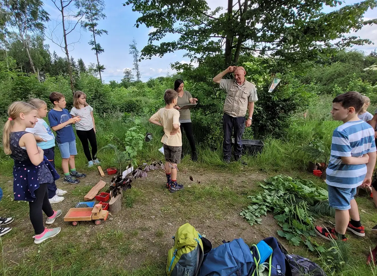 Waldjugendspiele in der Nationalparkregion Sächsische Schweiz