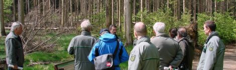 (Deutsch) WzW Intro_Borkenkäferpult am kleinen Winterberg GL 2011