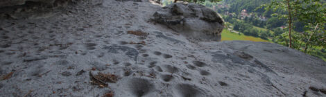 Solche faustgroßen Sandtrichter findet man unter vielen Felsüberhängen in der Sächsischen Schweiz. Am Grund des Trichters lauert er auf seine Beute: der Ameisenlöwe. Foto: H. Landgraf