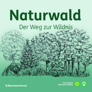 Ein Podcast der Nationalpark- und Forstverwaltung von Sachsenforst