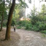 Situationen wie beim Waldbrand 2022 sollen mit der nächtlichen Waldsperrung im Nationalpark Sächsische Schweiz vermieden werden. Foto: B. Hielscher