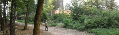 Situationen wie beim Waldbrand 2022 sollen mit der nächtlichen Waldsperrung im Nationalpark Sächsische Schweiz vermieden werden. Foto: B. Hielscher