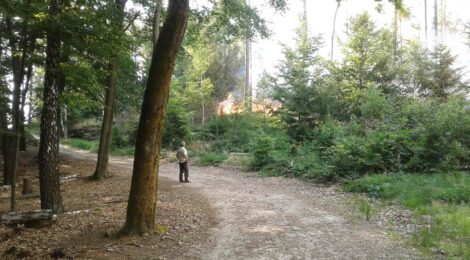 Situationen wie beim Waldbrand 2022 sollen mit der nächtlichen Waldsperrung im Nationalpark Sächsische Schweiz vermieden werden. Foto: B. Hielscher