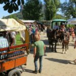 Vielfältige Aktivitäten und zahlreiche Gäste beim 19. Bergwiesenfest 2023. Foto: Dirk Neubert