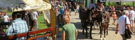 Vielfältige Aktivitäten und zahlreiche Gäste beim 19. Bergwiesenfest 2023. Foto: Dirk Neubert