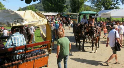 Vielfältige Aktivitäten und zahlreiche Gäste beim 19. Bergwiesenfest 2023. Foto: Dirk Neubert