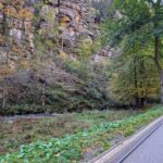 Gefällte, vom Borkenkäfer geschädigte Fichten links der Kirnitzsch werden im Sinne des Hochwasser- und Brandschutzes durch die Nationalpark- und Forstverwaltung Sächsische Schweiz von Sachsenforst in der Zeit vom 04.11. bis 22.11. entfernt. Die dafür erforderliche Straßensperrung wird auf die reine Arbeitszeit minimiert. Foto: H. Rößler