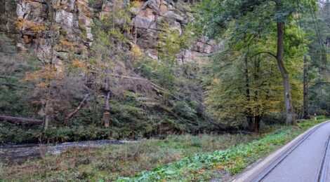 Gefällte, vom Borkenkäfer geschädigte Fichten links der Kirnitzsch werden im Sinne des Hochwasser- und Brandschutzes durch die Nationalpark- und Forstverwaltung Sächsische Schweiz von Sachsenforst in der Zeit vom 04.11. bis 22.11. entfernt. Die dafür erforderliche Straßensperrung wird auf die reine Arbeitszeit minimiert. Foto: H. Rößler