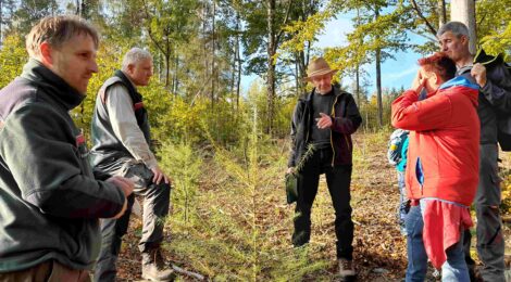 Erfolgreicher Waldumbau im Privatwald: Im Rahmen der Waldbesitzerschulung der Nationalpark- und Forstverwaltung stellte Waldbesitzer Bernd Gnauk die Maßnahmen in seinem Privatwald vor, die er nach dem Borkenkäferbefall ergriffen hat, um für die nachfolgende Generation einen stabilen wirtschaftlich nutzbaren Wald hinterlassen zu können. (v.l.n.r. Sachbearbeiter Forstförderung Christian Bandick, Revierleiter Bad Schandau Armin Stettinius, Waldbesitzer Bernd Gnauk und Waldbesitzerfamilie Findeisen). Foto: C. Tscheuschner