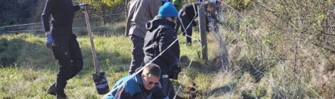 Foto: B. Wolff Teilnehmende des Bergwaldprojektes bauten im Forstrevier Königstein einen nicht mehr benötigten Wildschutzzaun ab.