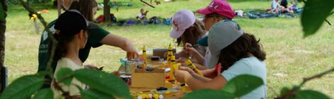 Foto: Archiv Nationalparkverwaltung Die erfüllende Umweltbildungsarbeit mit Kindern in der Natur steht meist im Mittelpunkt des Commerzbank-Umweltpraktikums in der Nationalparkregion Sächsische Schweiz.