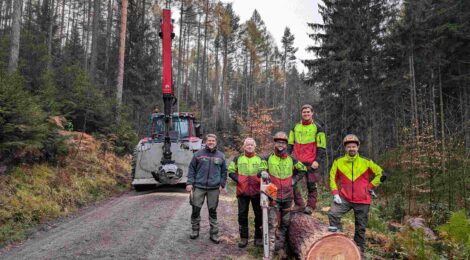 Revierleiter Olav Spengler und Forstwirte der Nationalpark- und Forstverwaltung von Sachsenforst haben eine Lärche für die Submission ausgewählt und so gefällt und aufbereitet, dass sie ohne Risse oder sonstige Schäden zum Verkauf angeboten werden konnte. Der 7 m lange und 44 cm starke Stamm erzielt einen Preis von ca. 716 €. Eine niederländische Firma hat den Stamm gekauft und wird daraus begehrtes Furnier herstellen. Foto: K. Zinnert